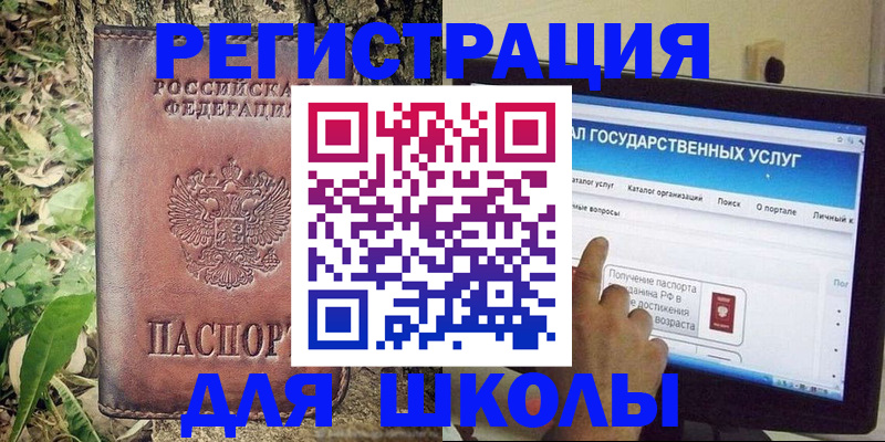прописка для школы в Палласовке